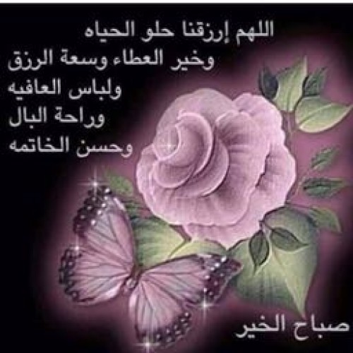 مدرس لغة عربية ابتدائي وضعيف الفهم