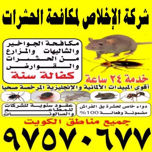 شركة الاخلاص لمكافحة الحشرات
