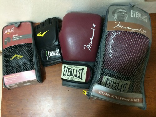 دسوس ملاكمه العدد 2