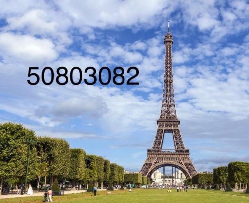 مدرس لغة فرنسية