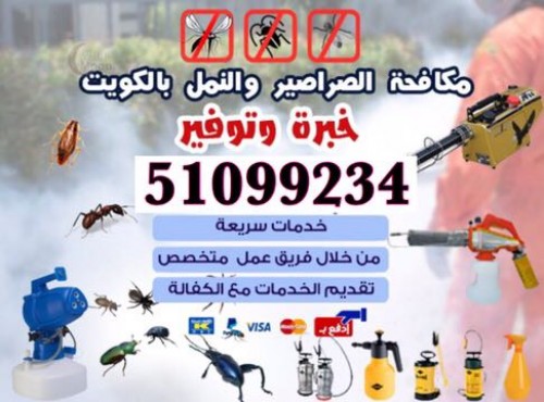 مكافحة حشرات - مكافحة جميع الحشرات والقضاءعلى البق نهائيابدون رائحه اومغادرة المنزل. القضاءعلى زهيوى المطبخ باالعجينه الاصليه والقضاءعلى جميع الحشرات والقوارض.