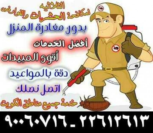 مكافحة الحشرات والقوارض 