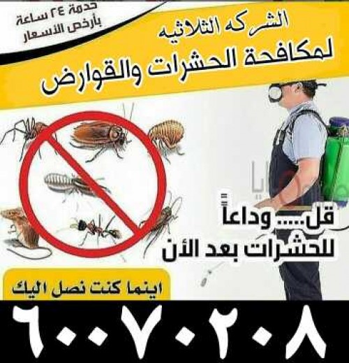 مكافحة الحشرات والقوارض 