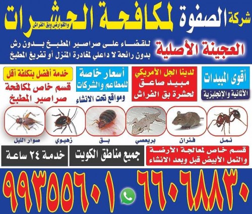 مكافحة حشرات وقوارض بإرخص الأسعار بدون رائحة للحفاظ على سلامتك 