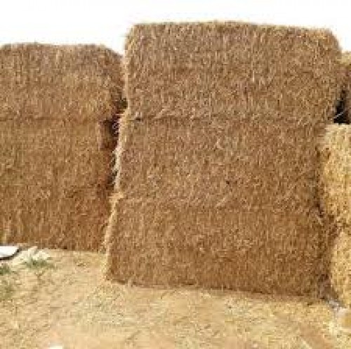  اتبان باكستانيه 