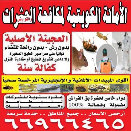 مكافحة الحشرات