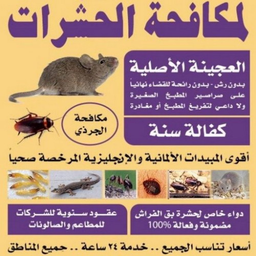 مكافحة قوارض - مكافحة حشرات وقوارض - الاتصال 99663955 - شركة حشرات - مكافحة حشرات - شركة مكافحة حشرات - مكافحة بق - مكافحة حشرات الجهراء - مكافحة حشرات الكويت